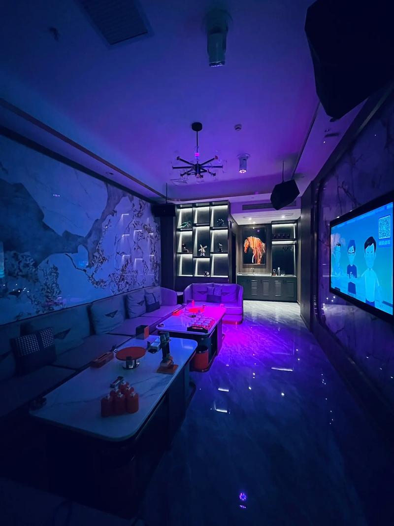 绵阳商务ktv中低端光景-平武县ktv预定